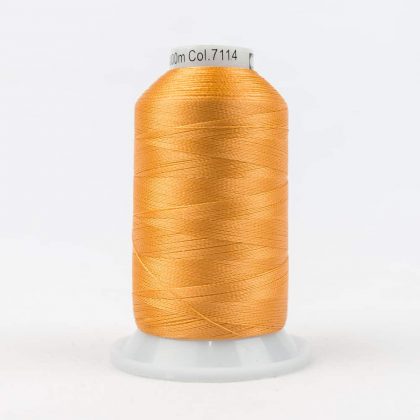 R7114 - Pumpkin