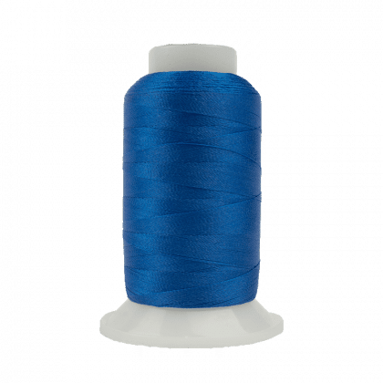 P2170 - Bright Blueberry